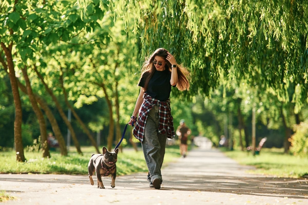 Kennel Club (Dog Park)