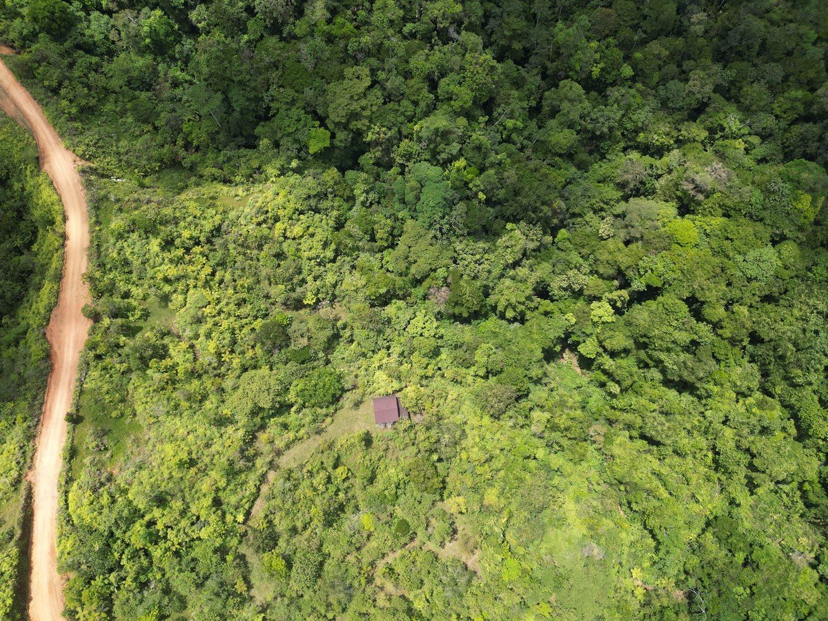 32 ACRES – Mountain Land With Spring, Jungle & Usable Space!!!!
