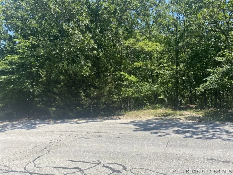 Blackfoot Rd Lot 1107