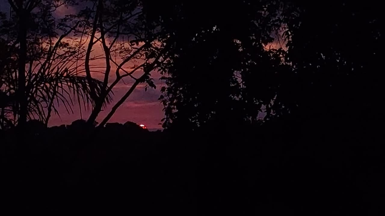 Rare 86-Acre Ocean View Estate Bordering Hacienda Barú – A Unique Opportunity for Conservation and Development