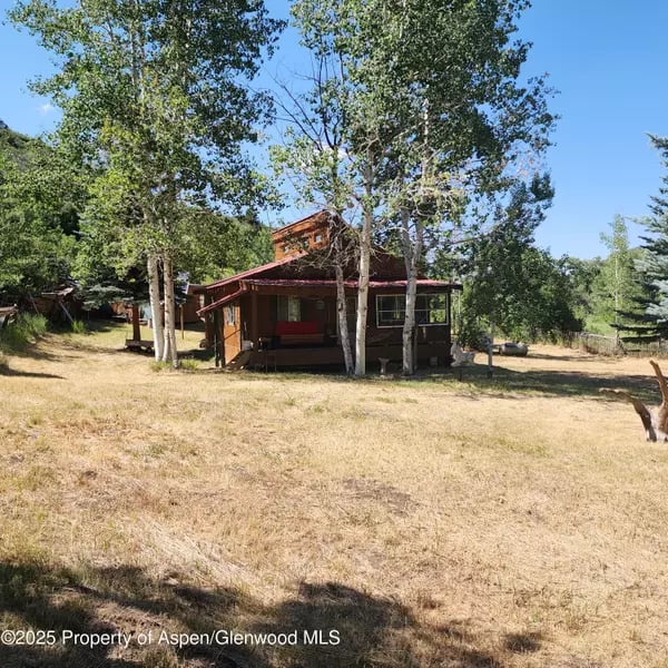 Rustic cabin with a covered porch among tall trees and dry grass.