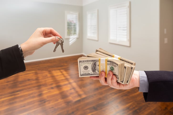 Slightly Under One-Third of 2024 Home Purchases Were All-Cash Sales