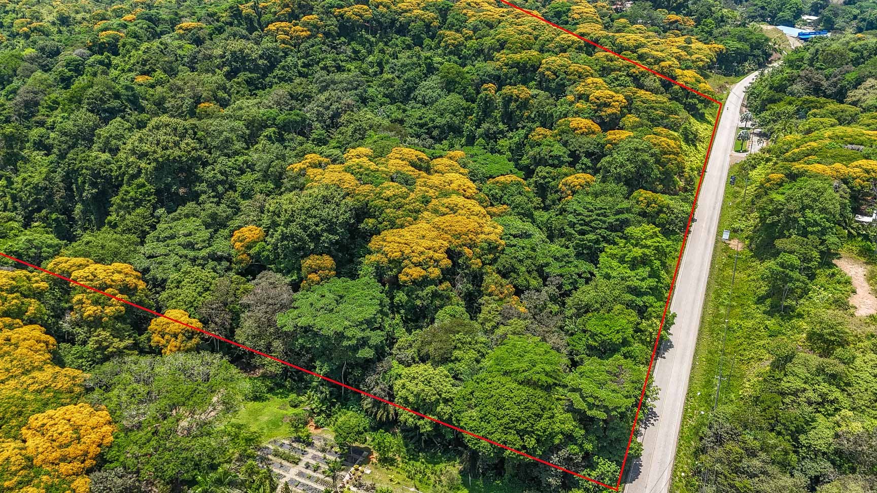 23-Acre Prime Highway Frontage Lot Near Ojochal & Ocean