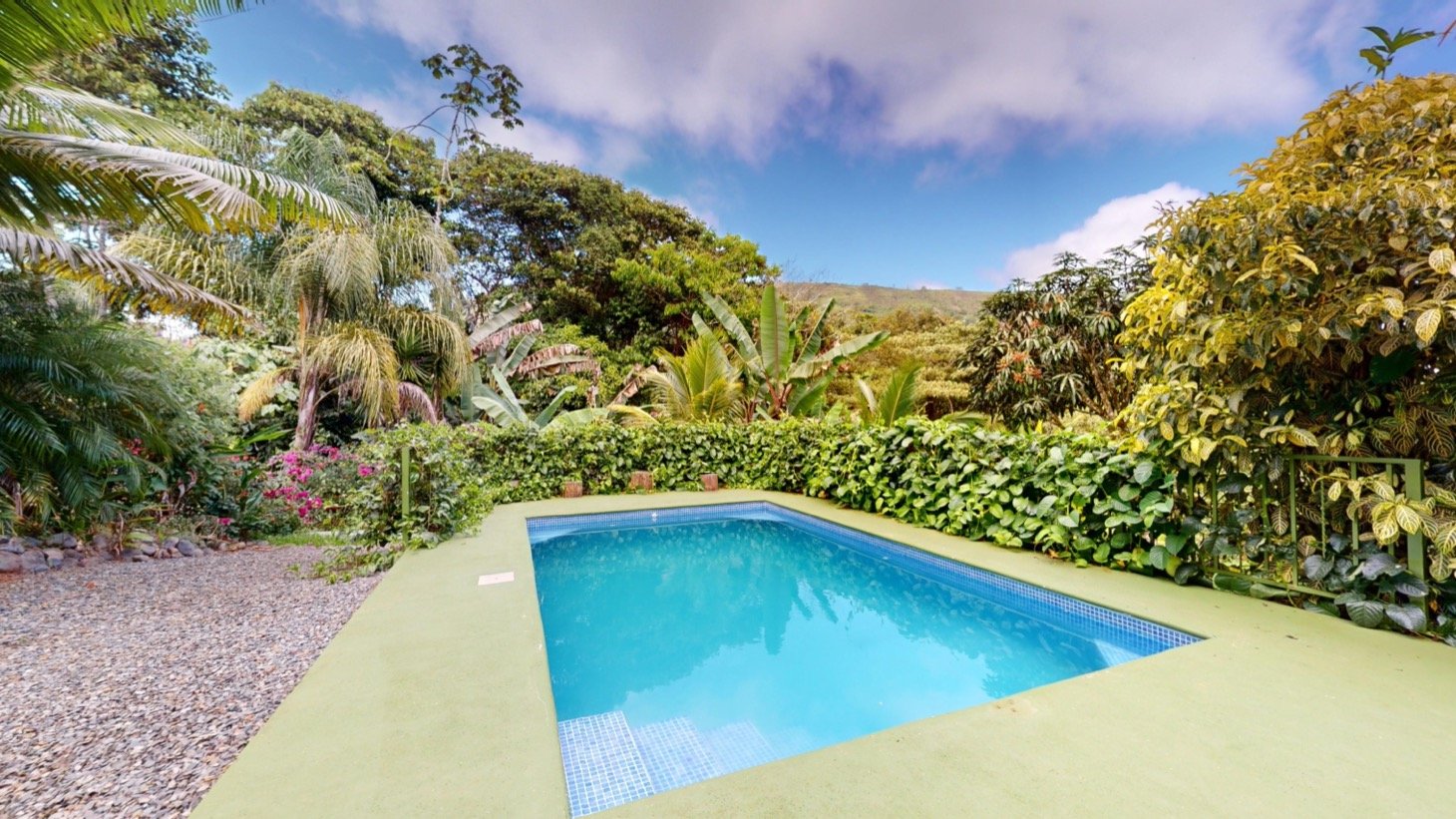 Dream Property for Sale in Costa Rica – A Holistic Sanctuary in Serenity Gardens