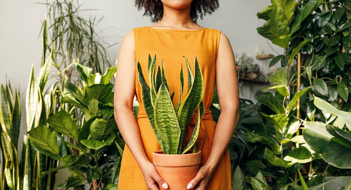 How To Downsize Without Feeling Like You’re Losing Space