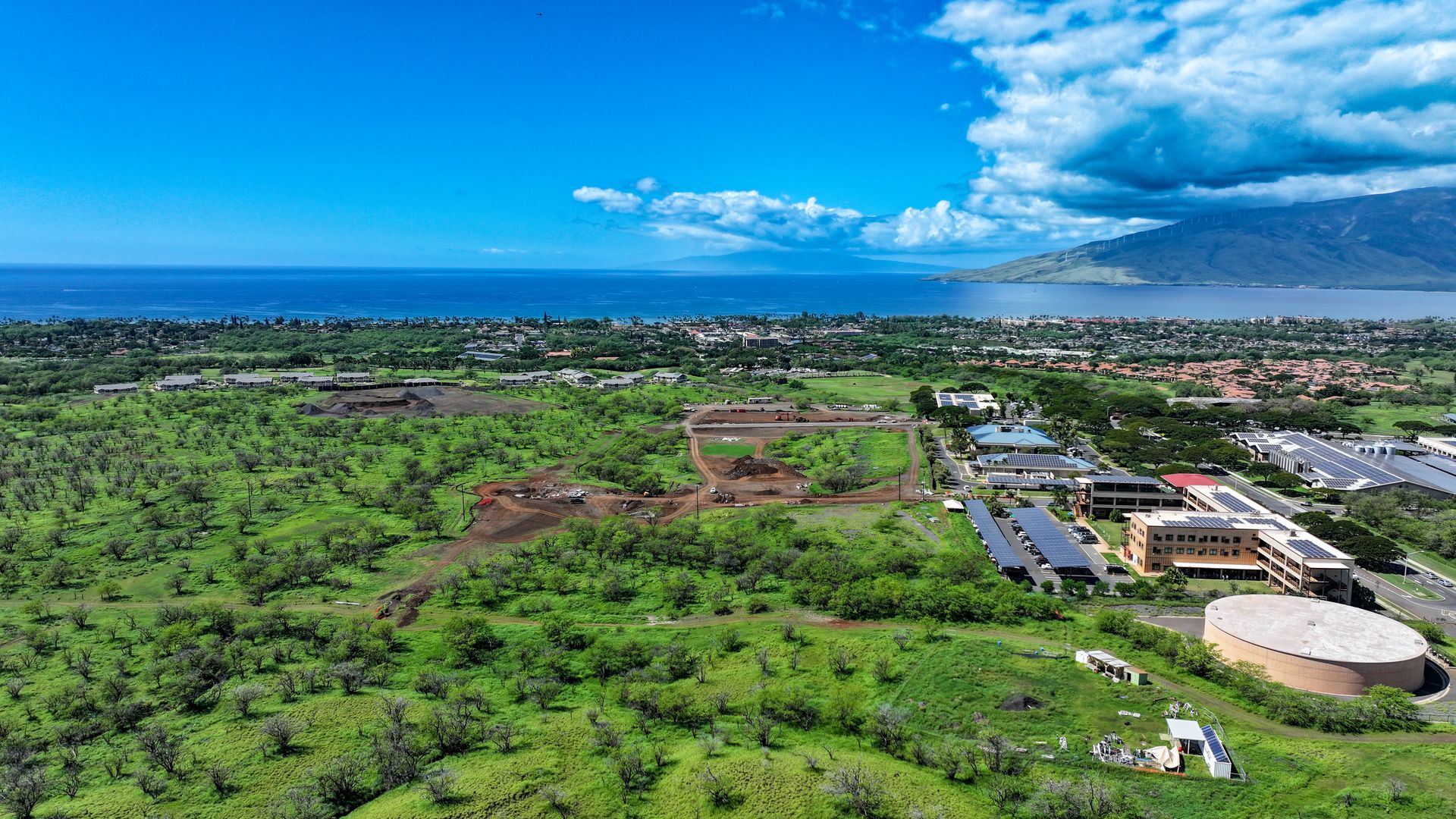 Lipoa - Maui