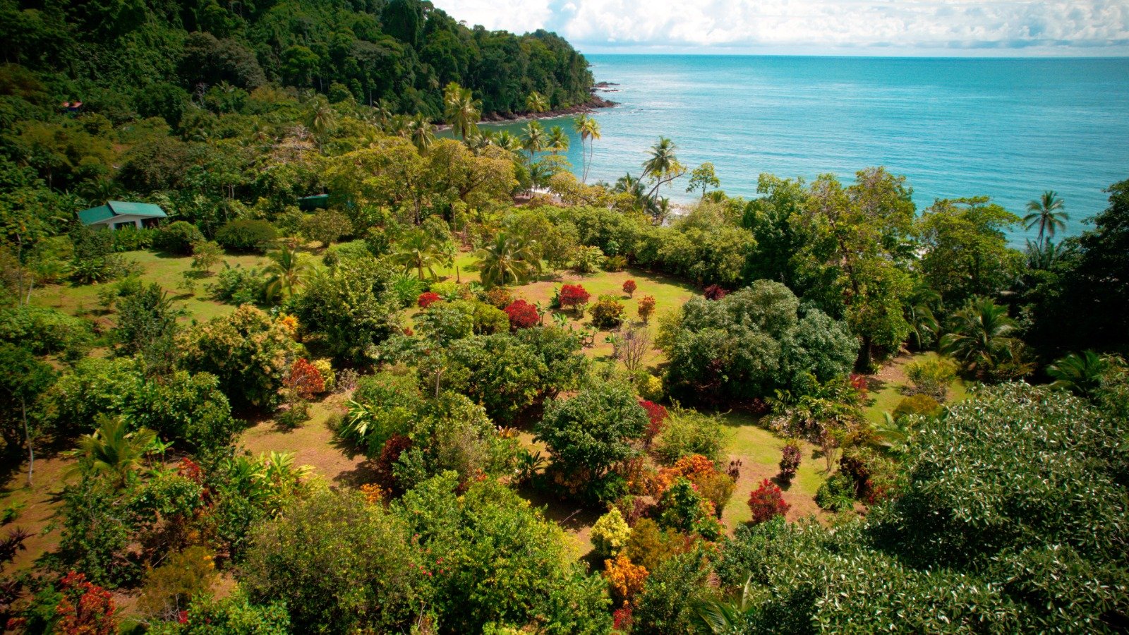 UNIQUE BEACHFRONT FROM PARADISE! RINCON DE SAN JOSECITO!