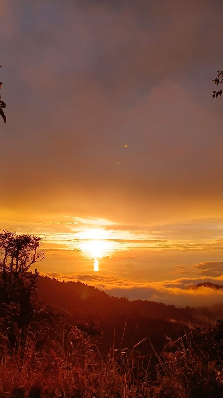 Los Cerritos Farm – 6.4 Acres of Ocean & Mountain Serenity