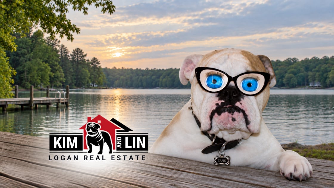 White dog in oversized blue-lensed glasses resting on a dock beside a wooded lake at sunset.