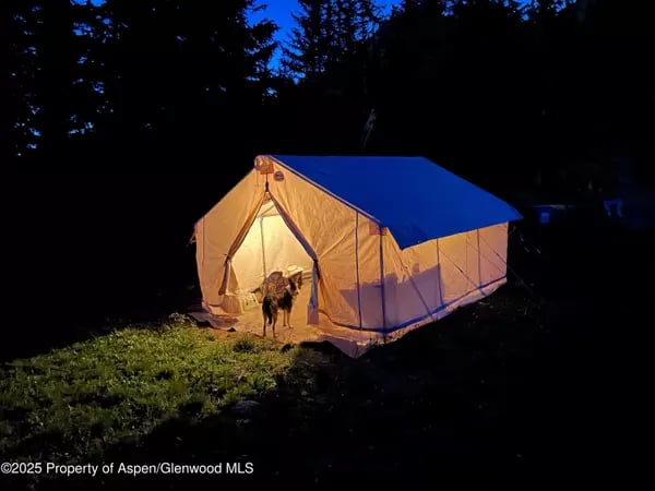 Glowing canvas tent at night with a dog standing at its entrance.