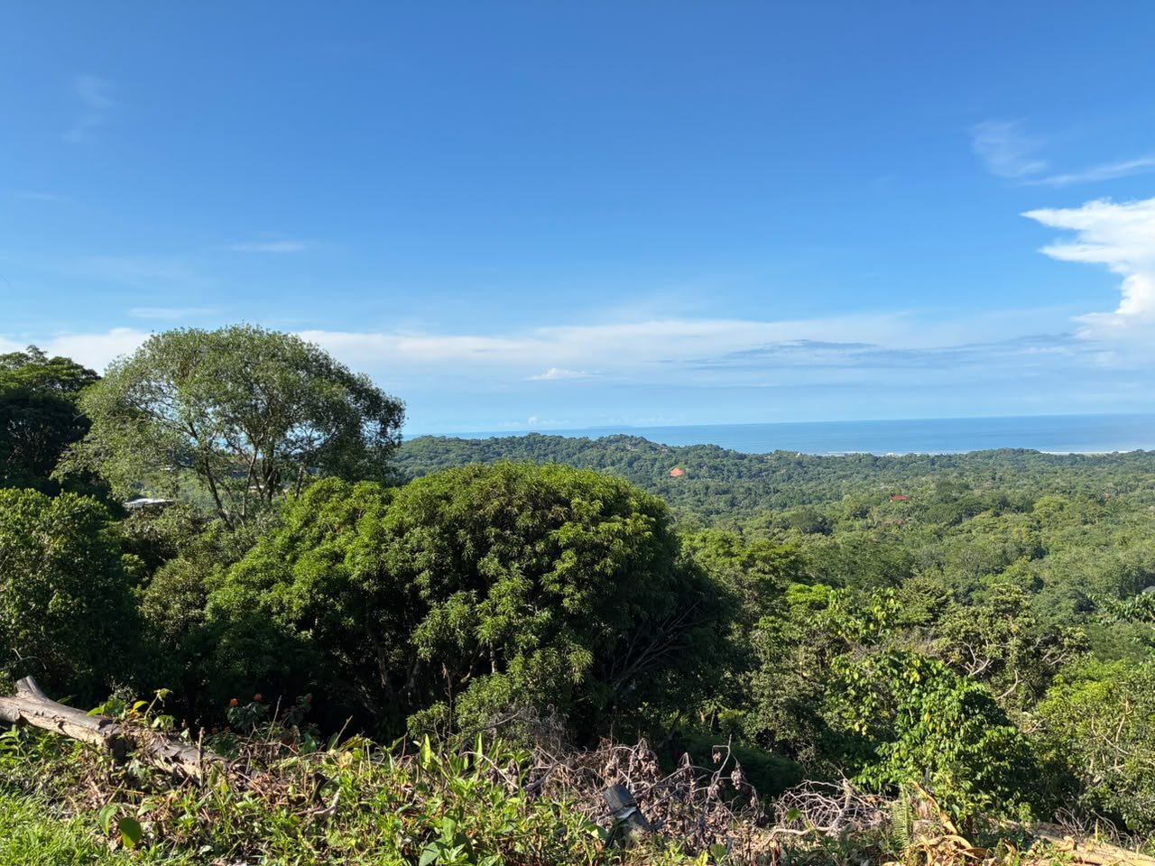Beautiful Ocean View Lot in Ojochal Phase9