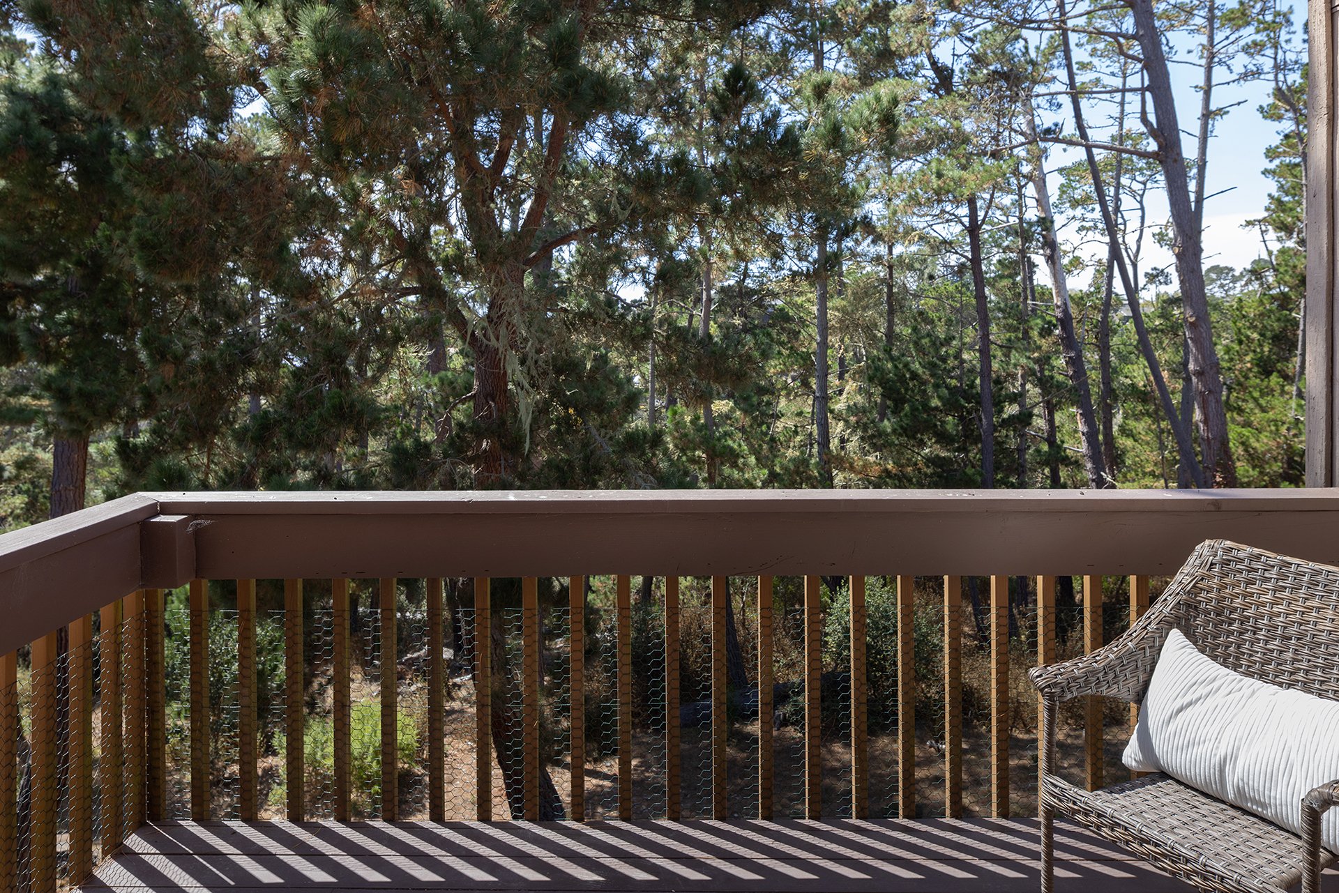Easy Living in High Meadow