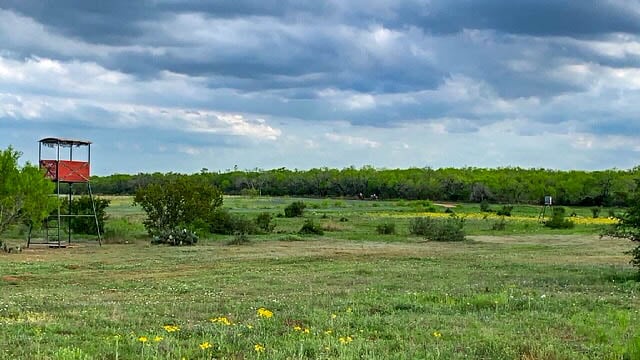 Oaks, Wildlife, & the Quiet of the Countryside | 26.99± Acres | Poteet, TX