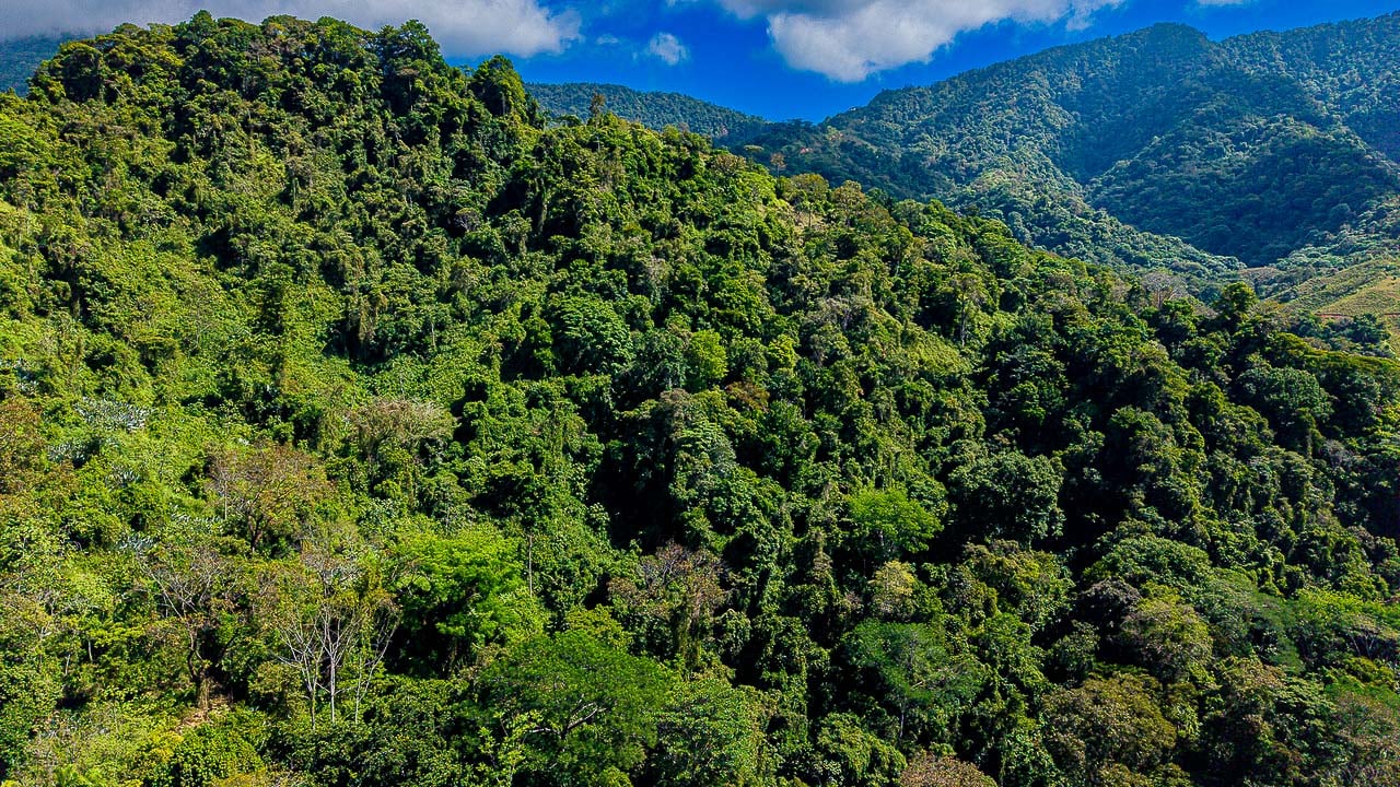 Whale Tail Views Luxury Waterfall Farm