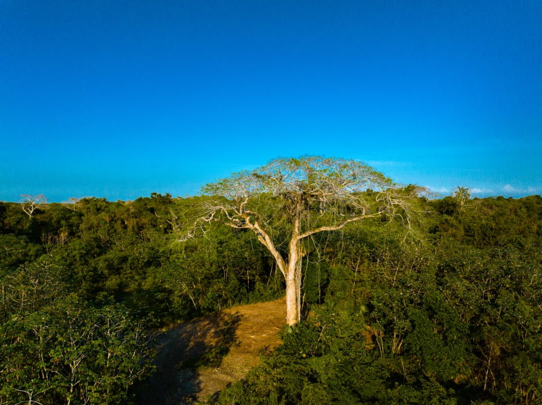 Rancho Del Cielo Maya