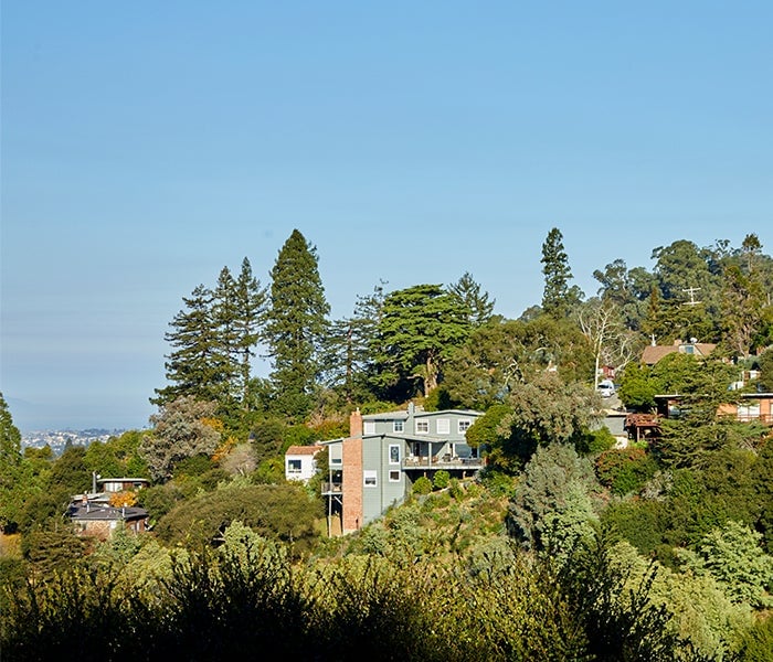 Panoramic Hill