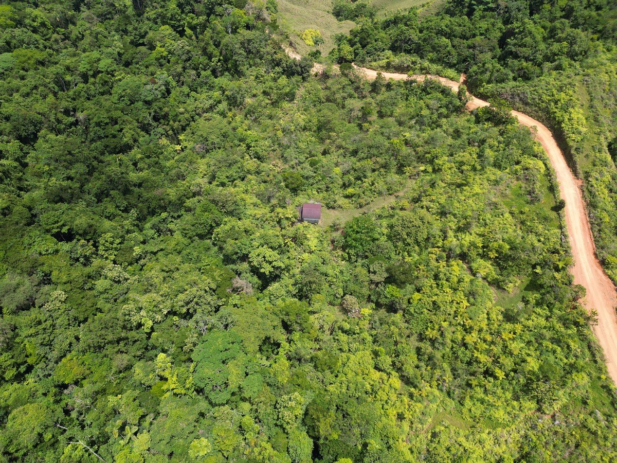 32 ACRES – Mountain Land With Spring, Jungle & Usable Space!!!!