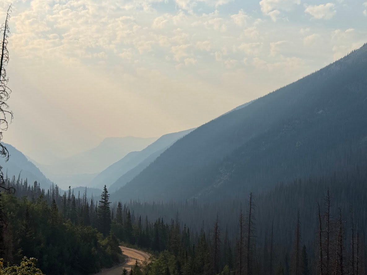 Driving Into the Wild: A Sensory Journey Along Old Fall River Road