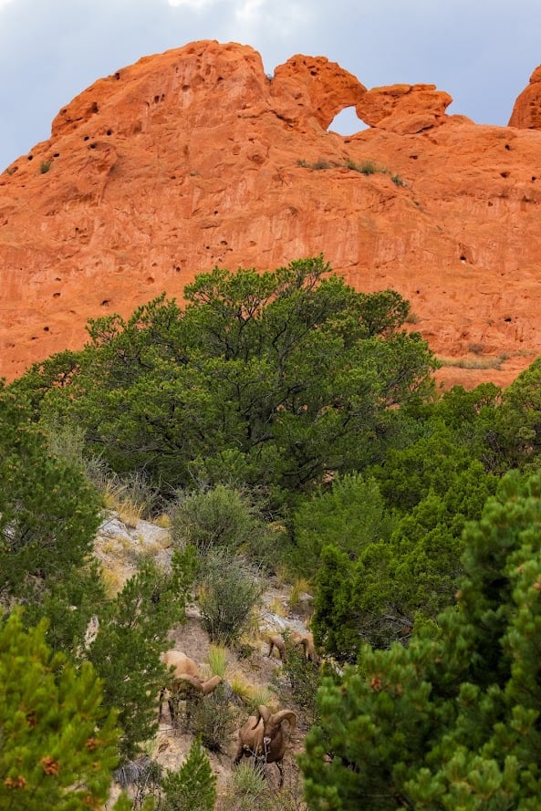 Garden of the Gods: Where Colorado Springs Comes Alive