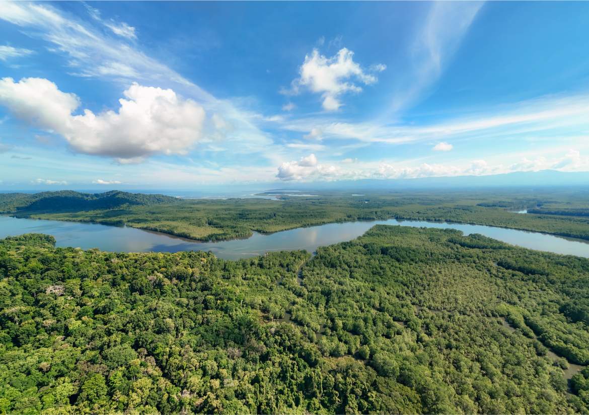 247 Acres of Riverfront Rainforest with Hospitality Potential - Sarangundí Eco-Development Sanctuary Near Corcovado