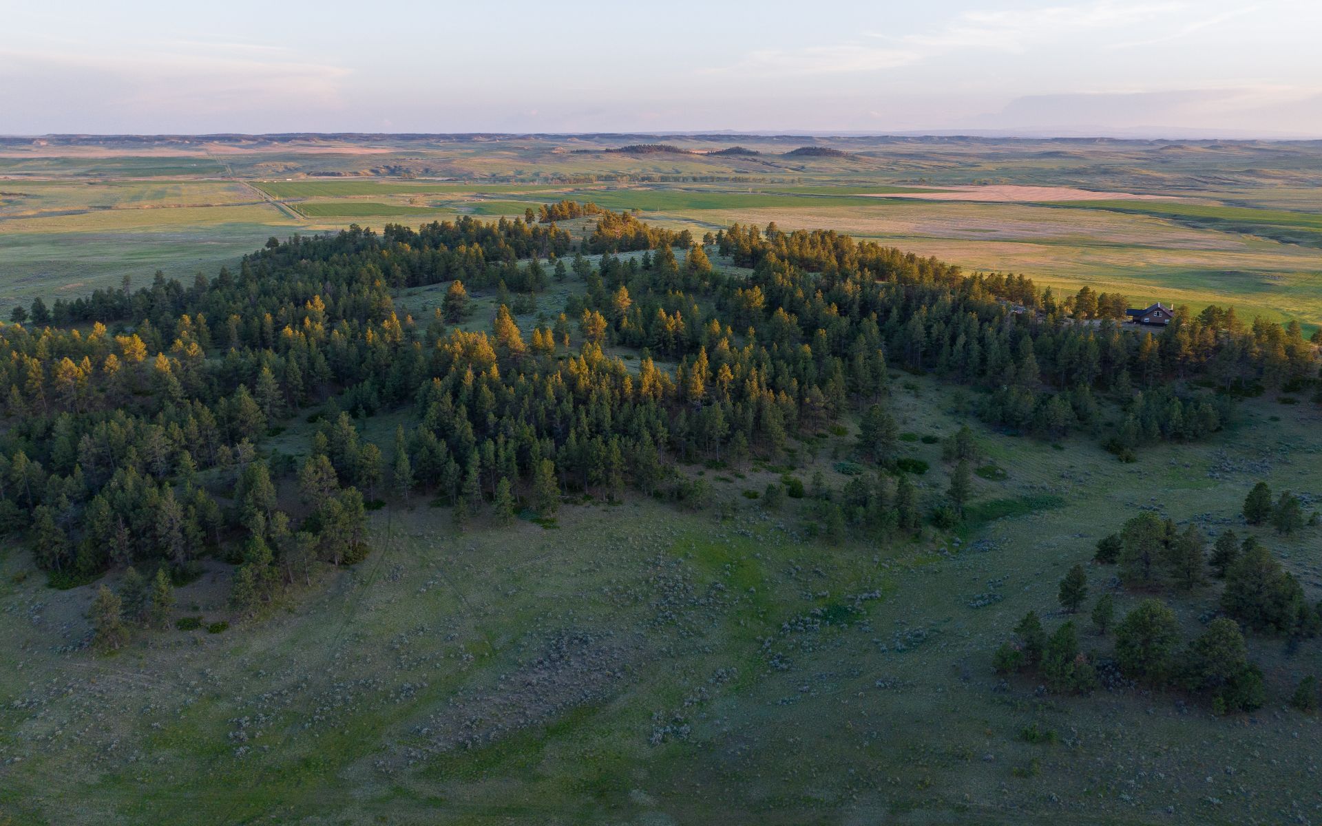 Elk Rich Ranch