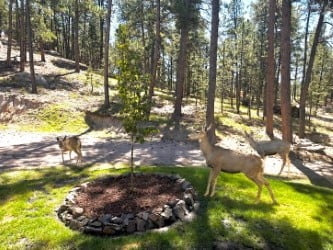 4125 Walker Vista Heights