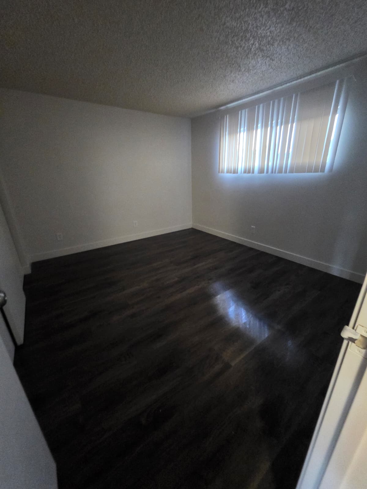 2616 Lynnwood Street #7