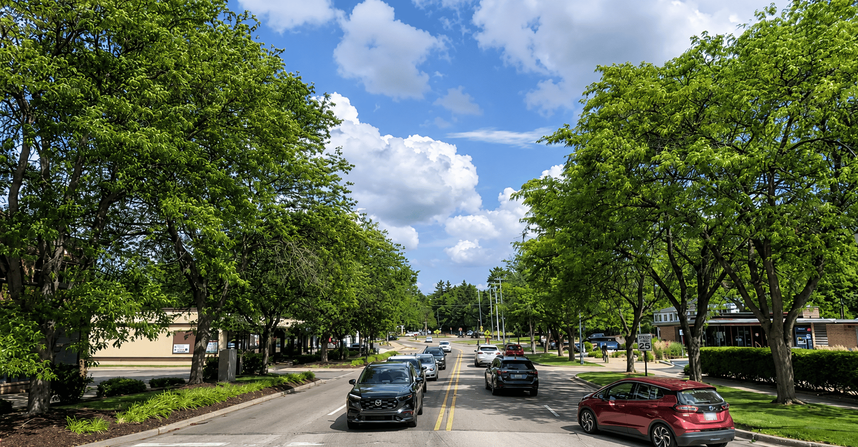 Tree lined streets and local businesses in downtown Okemos Michigan
