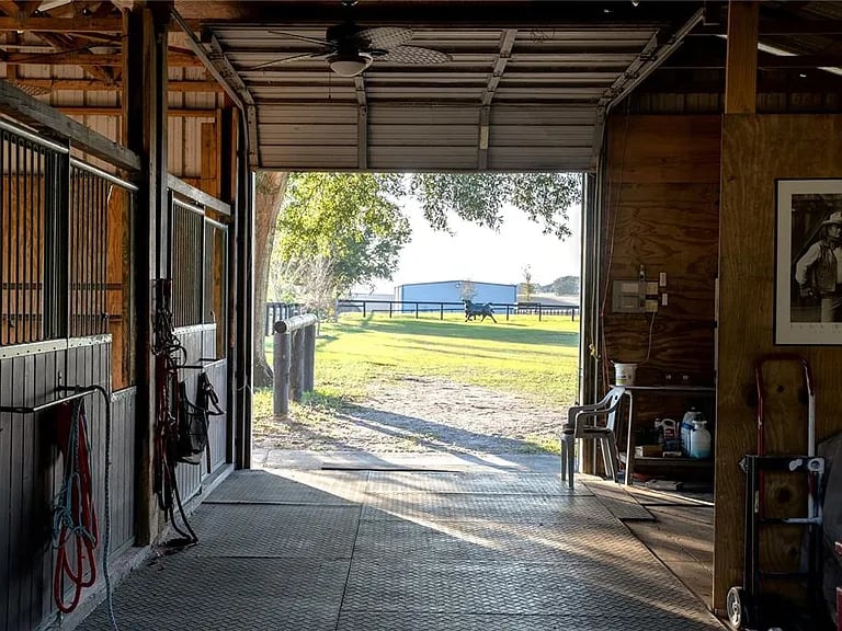 3650 SE 165th Ave, Morriston, FL 32668