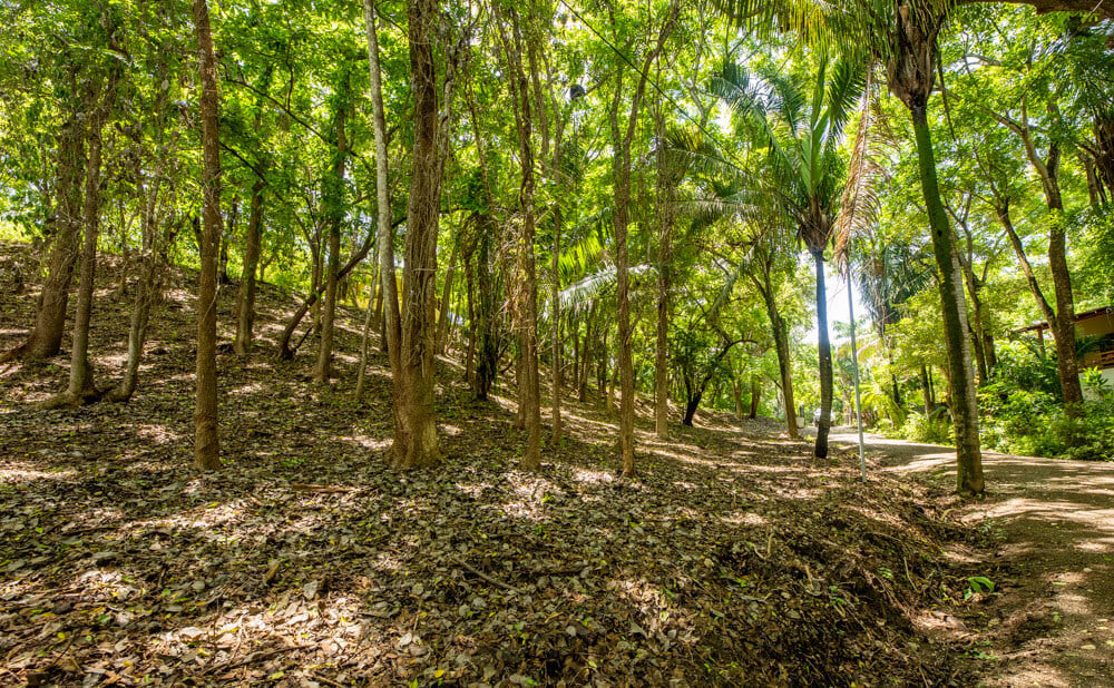 Secluded Surf Walk Building Lot, Nosara, Guanacaste