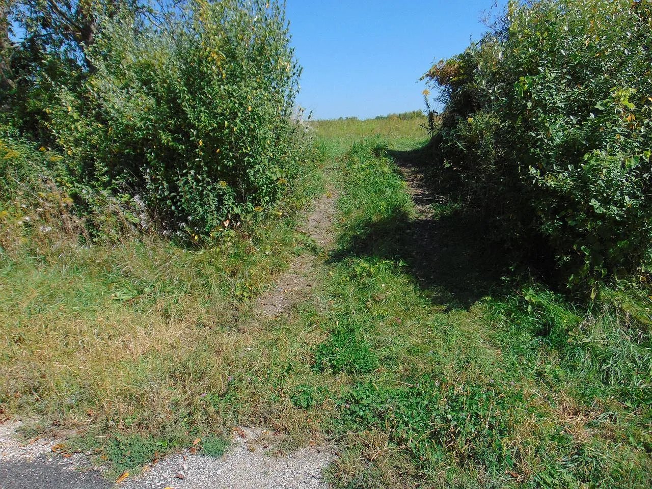 Lot 12 Maple Tree Rd