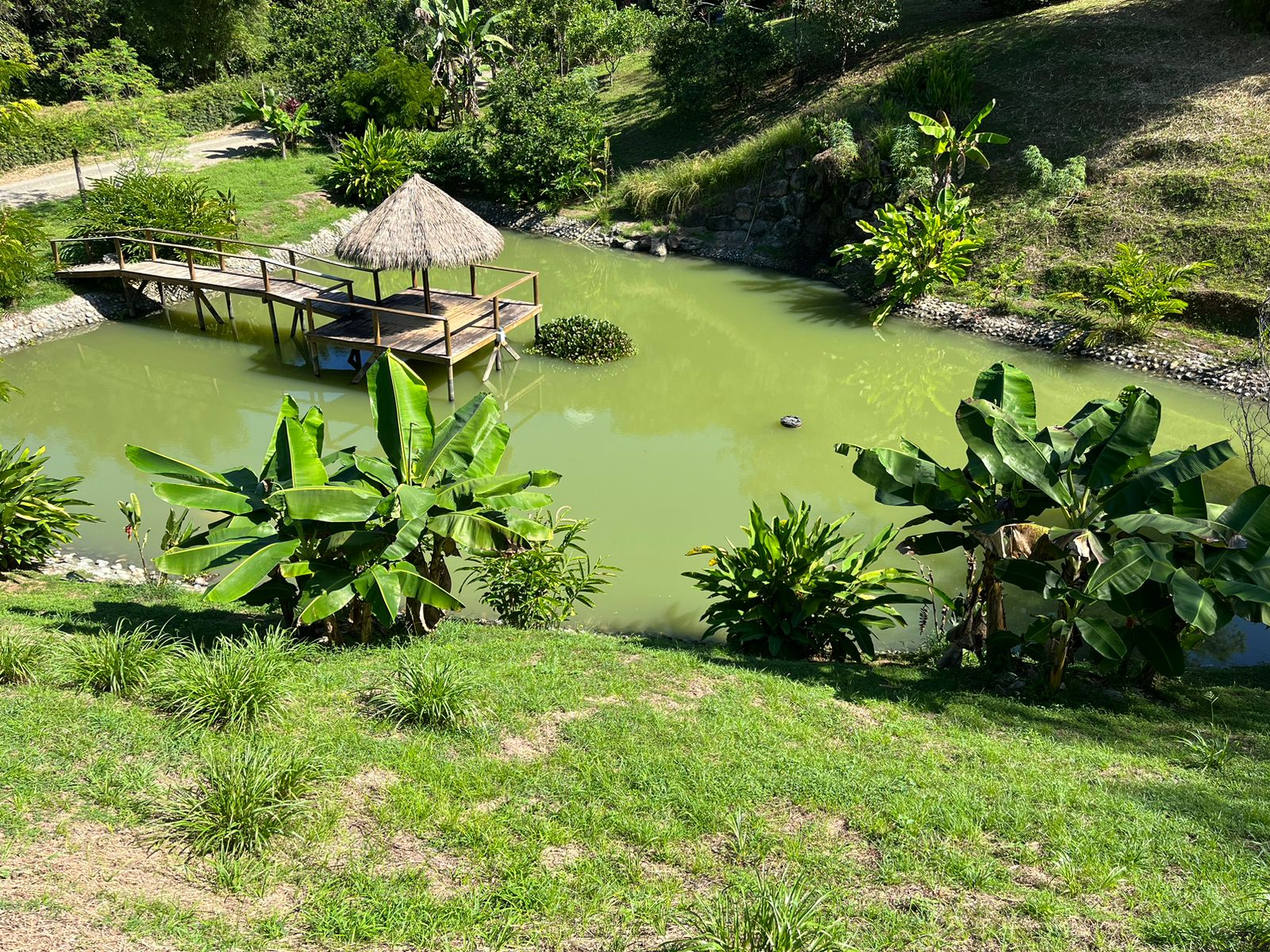 Cinematic Ocean&Mountain View Property In Vista Dominical Estate, Minutes From The Beach!