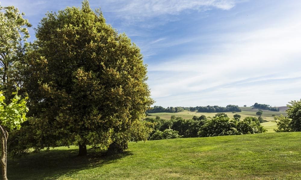 Charming Historic Farmhouse near Orvieto