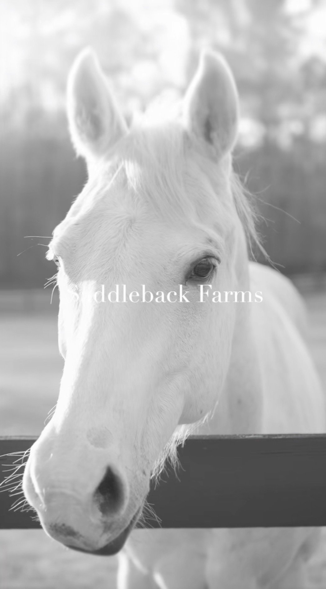 Saddleback Farms Equestrian Estate
