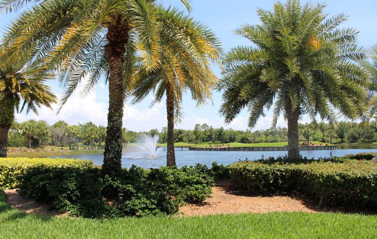 Crown Colony