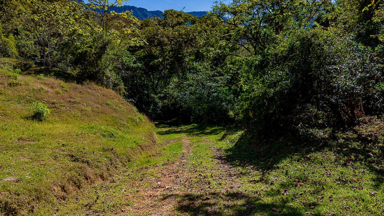 Whale Tail Views Luxury Waterfall Farm