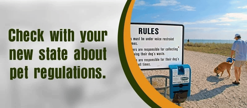 Banner advising readers to check their new state's pet regulations, with a person walking a dog on a beach.