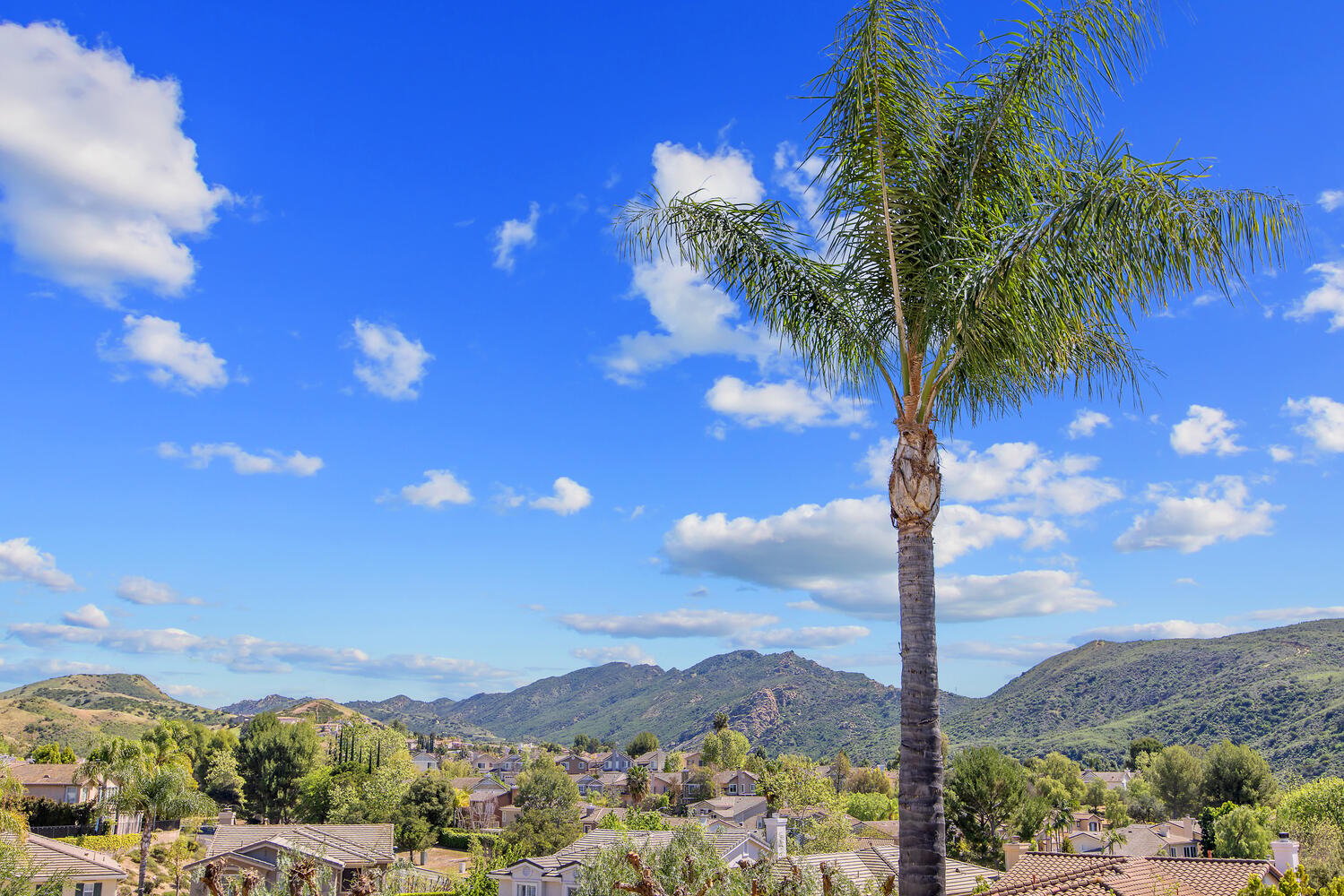 2924 Blazing Star Drive