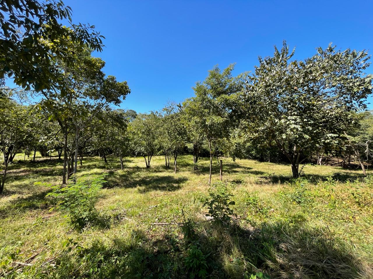 Beautiful Estate Lots Strategically Located in Villareal – Tamarindo – Guanacaste