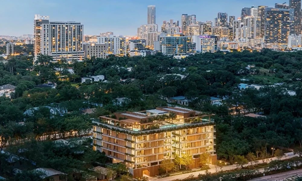 Colette Brickell