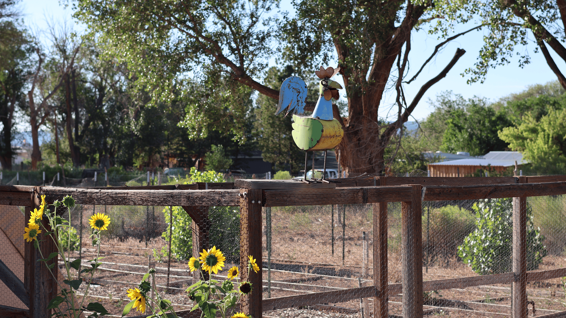 Torrey Land & Greenhouses