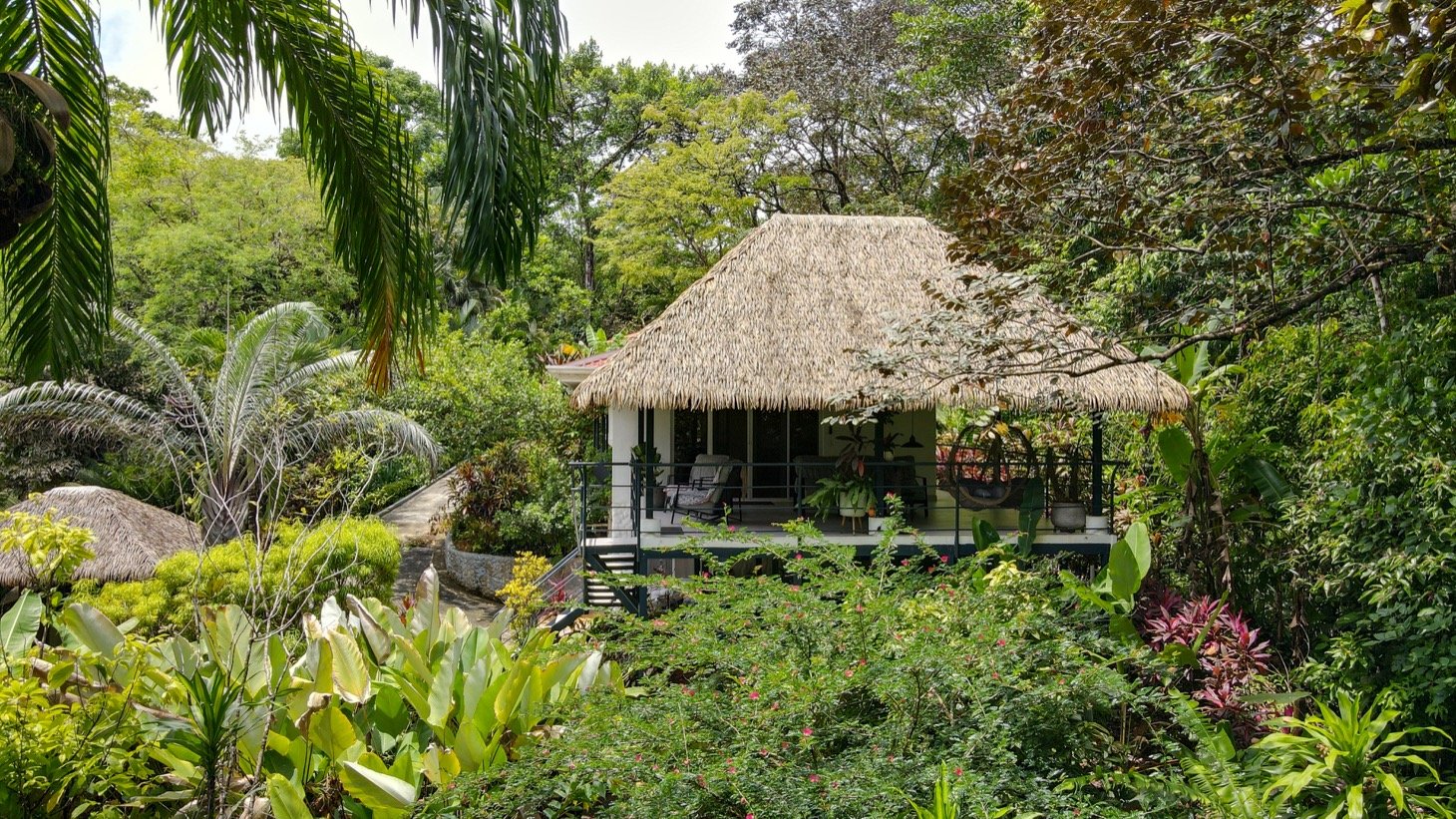 Modern House For Sale With Jungle View, Peaceful Stream, and Rental Cabins