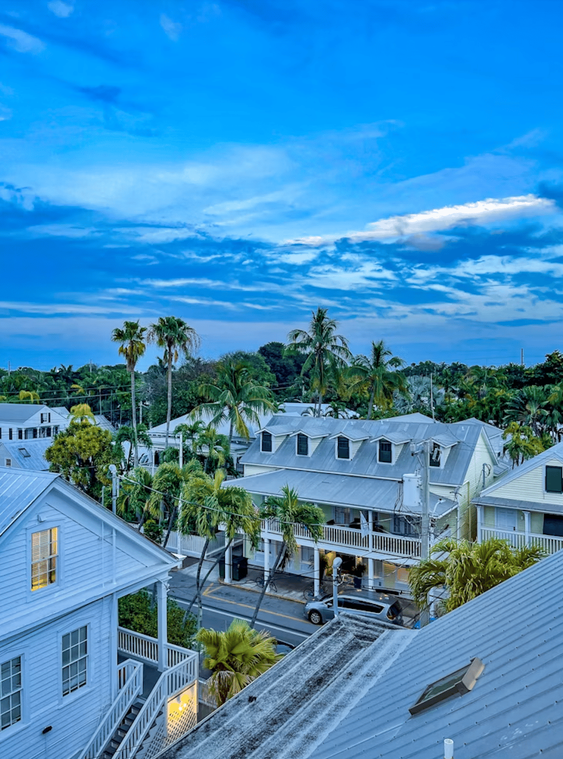 Key West homes with metal roofs and palm trees beneath a cloud-filled blue dusk sky.