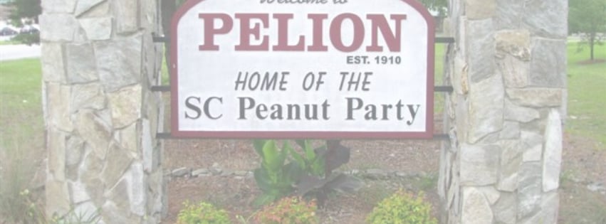 Pelion