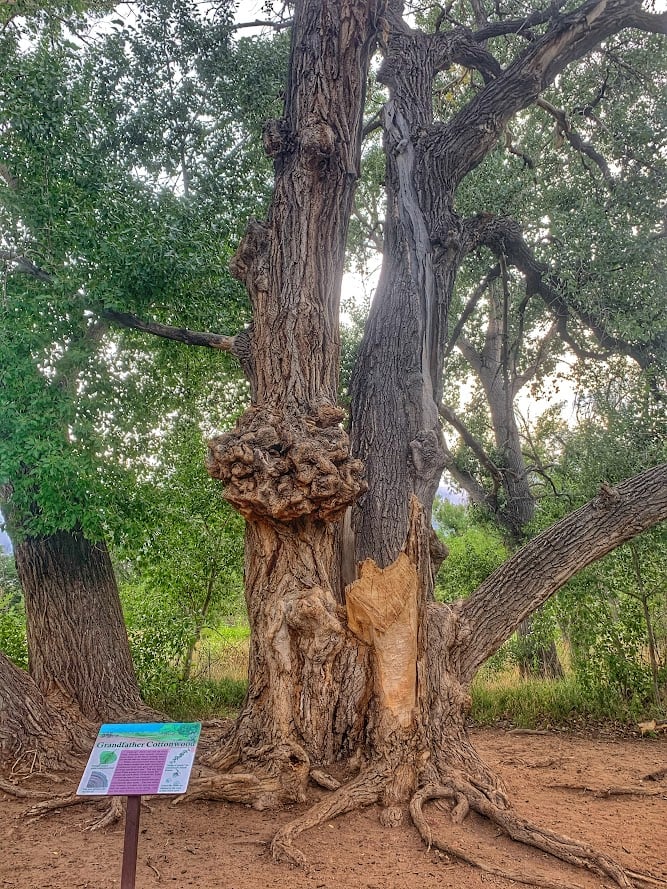 Fountain Creek Nature Center: A Must-Visit Outdoor Escape Near Colorado Springs