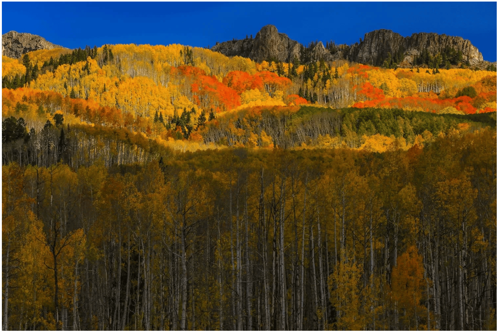 Scenic Drives Colorado Fall Colors