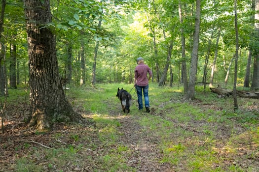 NC 330 Acre Legacy Equestrian Estate 