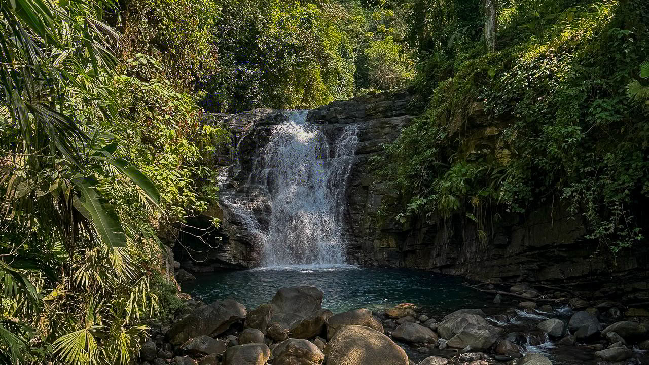 Whale Tail Views Luxury Waterfall Farm