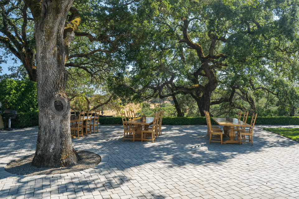 Sonoma County Market Update