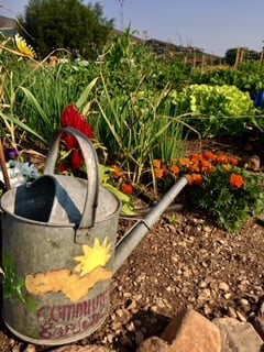 Park City Event Guide: May 3 – 9, 2019